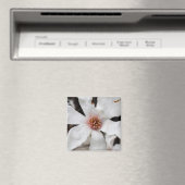 Magnolia Closeup Magnet (In Situ (Geschirrspüler))