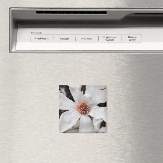 Magnolia Closeup Magnet (In Situ (Geschirrspüler))