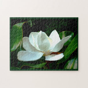 Magnolia Closeup Puzzle