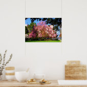 Magnolia Drei Poster (Küche)