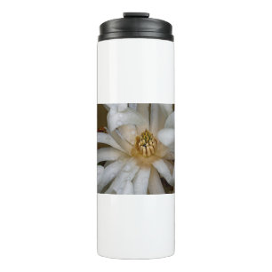 Magnolia étoilé thermosbecher