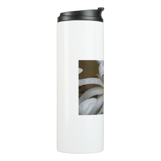 Magnolia étoilé thermosbecher (Nach links gedreht)