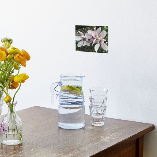 Magnolia Fairy Foliendrucke (Ablage(Küche))