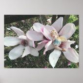 Magnolia Fairy Foliendrucke (Vorderseite)