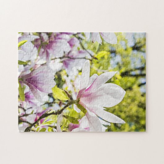 Magnolia Flowers in Spring Puzzle (Horizontal)