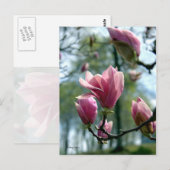 Magnolia Forest Postkarte (Vorne/Hinten)