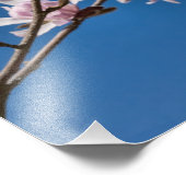 Magnolia - Foto Print (Ecke)