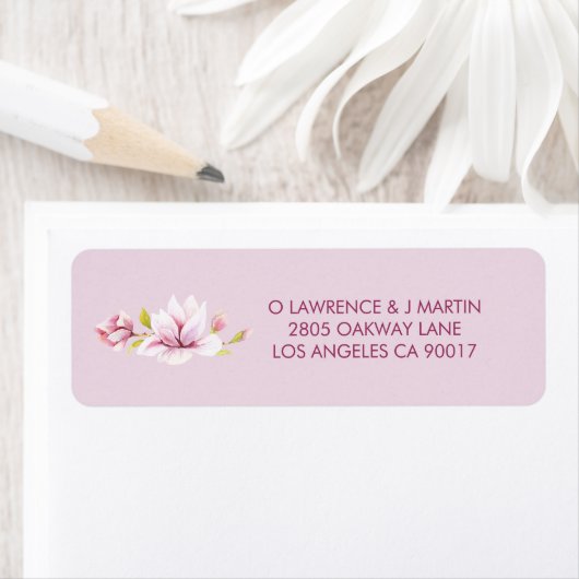 Magnolia Frühling (Insitu)