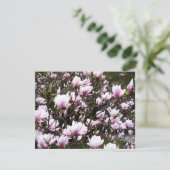 Magnolia Garden (Stehend Vorderseite)