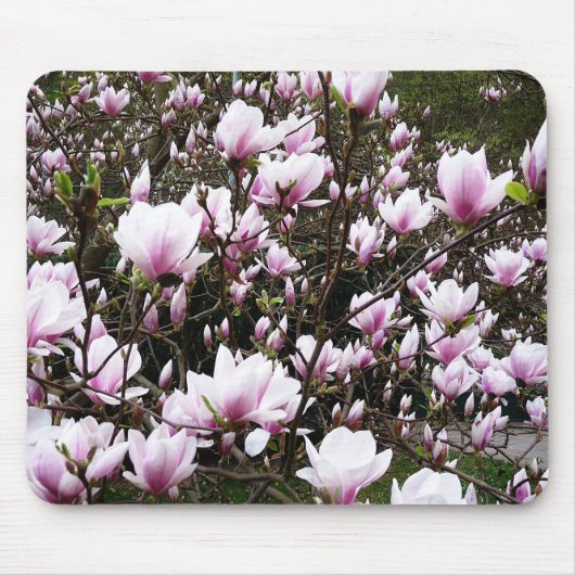 Magnolia Garden Mousepad (Vorne)