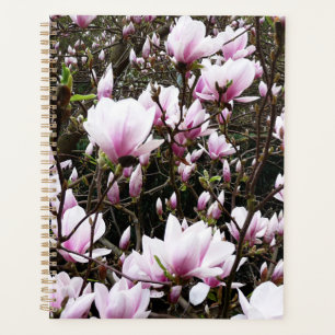 Magnolia Garden Planer
