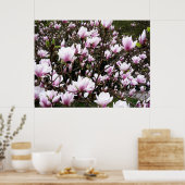 Magnolia Garden Poster (Küche)
