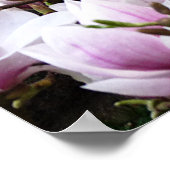Magnolia Garden Poster (Ecke)