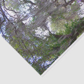 Magnolia Gardens Plantagenpapier Seidenpapier (Ausschnitt)