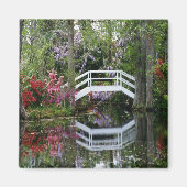 Magnolia Gardens, S.C. Magnet (Vorne)
