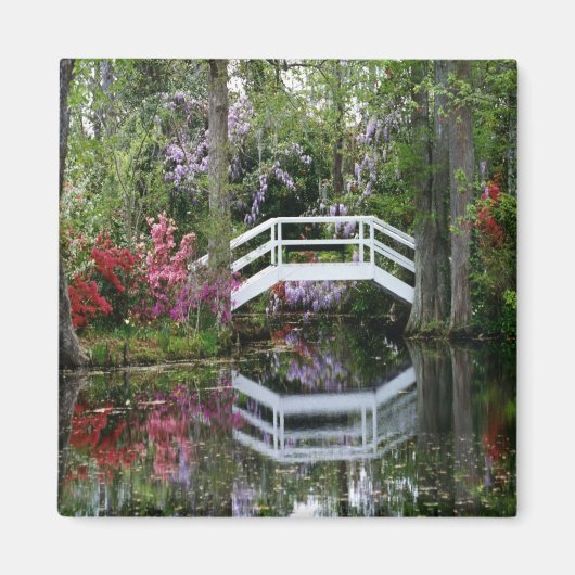 Magnolia Gardens, S.C. Magnet (Vorne)