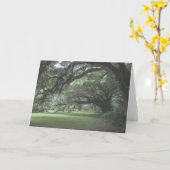 Magnolia Gärten Olivenweg Karte (Gelbe Blume)