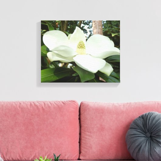 Magnolia Grandiflora Canvas Leinwanddruck (Insitu (Wohnzimmer))