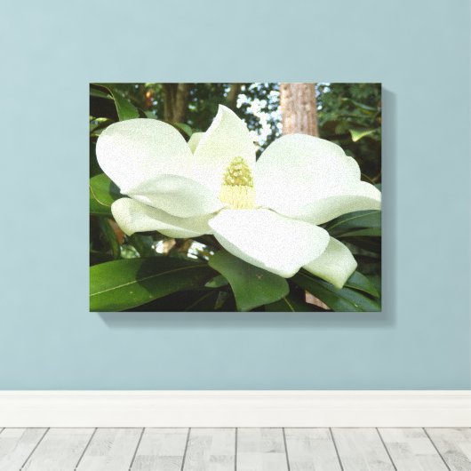 Magnolia Grandiflora Canvas Leinwanddruck (Insitu (Holzboden))