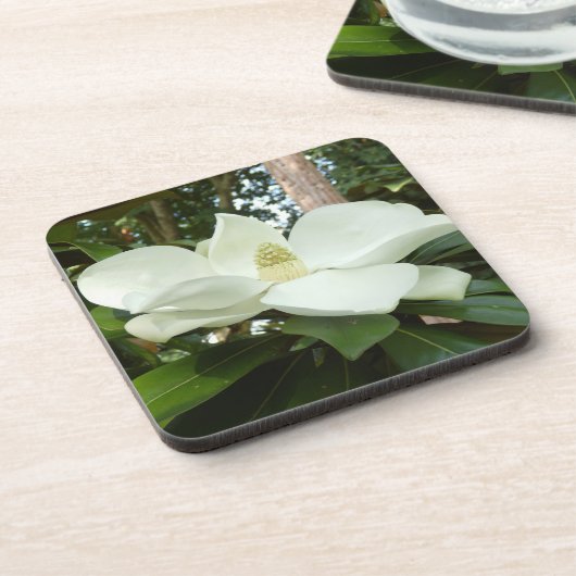 Magnolia Grandiflora Hard Plastic Untersetzer (Linke Seite)