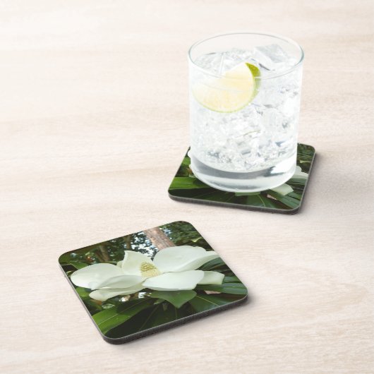 Magnolia Grandiflora Hard Plastic Untersetzer (Rechte Seite)