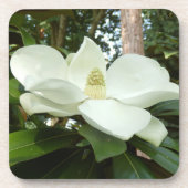 Magnolia Grandiflora Hard Plastic Untersetzer (Vorderseite)