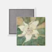Magnolia Grandiflora Magnet (Vorderseite/Rückseite)