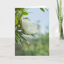 MAGNOLIA GREETING CARD KARTE