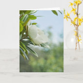 MAGNOLIA GREETING CARD KARTE (Gelbe Blume)