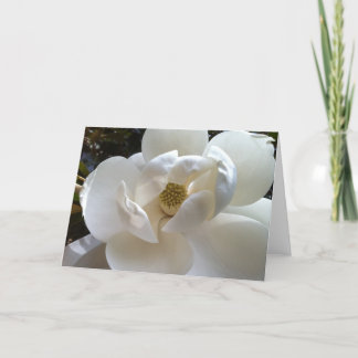 Magnolia Grußkarte Karte
