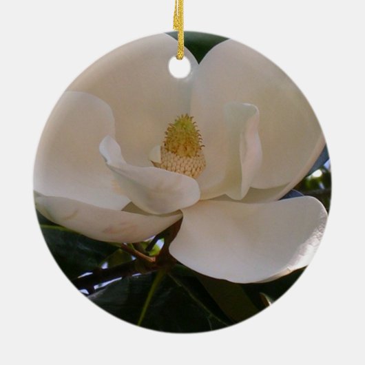 Magnolia Highlights Keramikornament (Hinten)