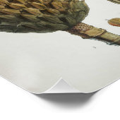 Magnolia Hodgsonii Poster (Ecke)