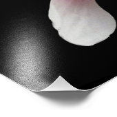 'Magnolia in Bloom' Fotografierenddruck Fotodruck (Ecke)