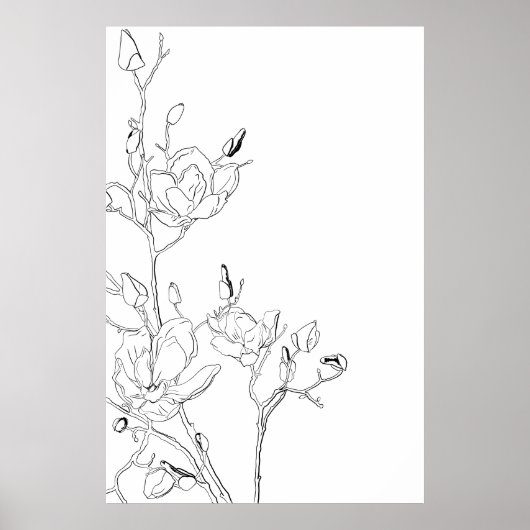 Magnolia-Kontur Poster (Vorne)