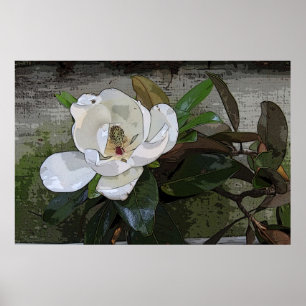 Magnolia Magic Poster -36x24 - andere Größen auc