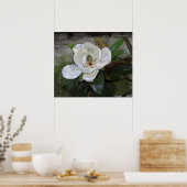 Magnolia Magic Print -24x20 -andere Größen verfügb Poster (Küche)