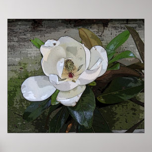 Magnolia Magic Print -24x20 -andere Größen verfügb Poster