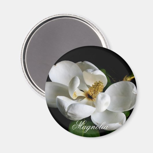 Magnolia Magnet (Vorderseite/Rückseite)