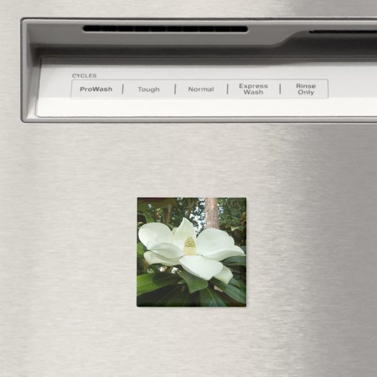 Magnolia Magnet (In Situ (Geschirrspüler))