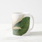 Magnolia (Magnolia soulangiana) von Redouté Kaffeetasse (VorderseiteRechts)