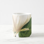 Magnolia (Magnolia soulangiana) von Redouté Kaffeetasse (Mittel)