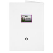 Magnolia Masses (Hinten)