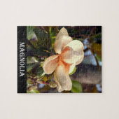 Magnolia (Mississippi und Louisiana) Puzzle (Horizontal)