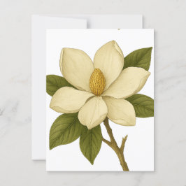 Magnolia — Mobilität Postkarte