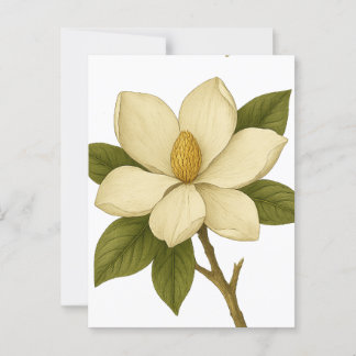 Magnolia — Mobilität Postkarte