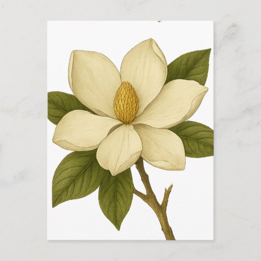 Magnolia — Mobilität Postkarte (Vorderseite)