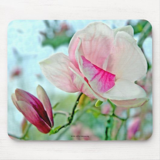 Magnolia Mouse Pad Mousepad (Vorne)