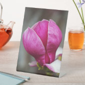 Magnolia Pink Full Bloom Sockelschild (In Situ)