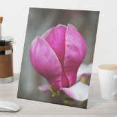 Magnolia Pink Vollblut Sockelschild (In Situ)