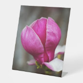 Magnolia Pink Vollblut Sockelschild (Vorderseite)